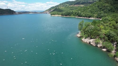 Aerial Lake and Birds
