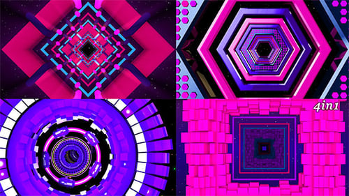 Fly Geometry