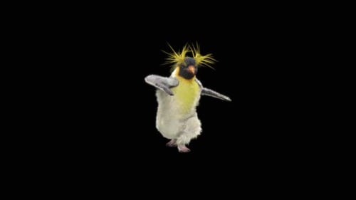 Penguin Dancing HD