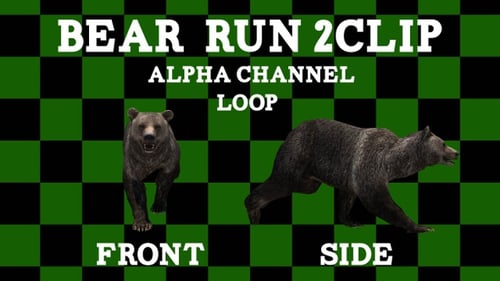 Bear 2 Clip Alpha-Schleife