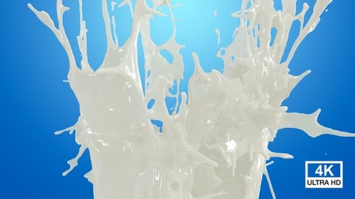 Milk Crown Splash 4K
