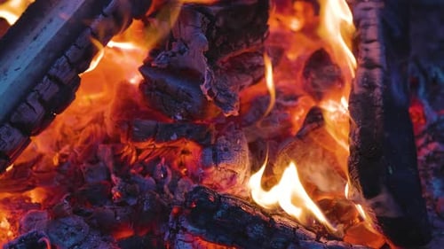 Close Up Picture of Wood Burning in a Camp Fire
