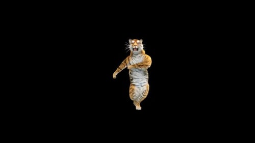 Tiger-Tanz HD