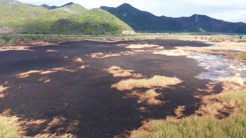 Black scorched ground as a result of controlled burning of a marsh wetland - prescribed fire
