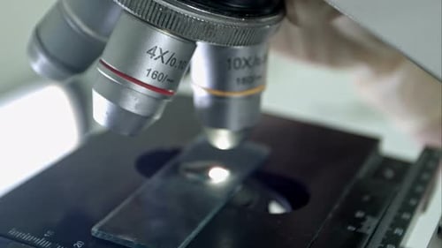 Microscope Is Used for Conducting Planned, Research Experiments, Educational Demonstrations in