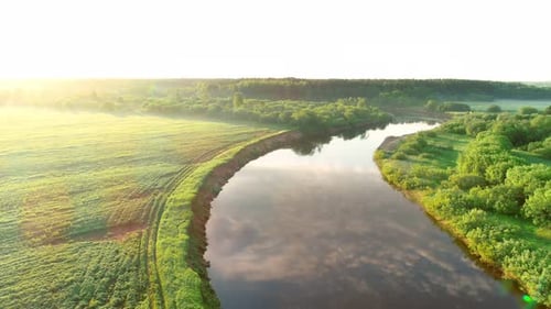 Flying Over River and Green Forest at Summer Sunny Day Sky Reflecting in Water