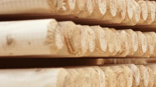 Piles of Wooden Logs in Storage Shelves. Round Wooden Sticks in Warehouse