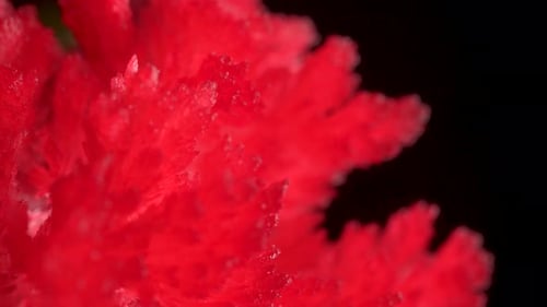 Magnifiques cristaux rouges sur fond d'éclairage à diodes. Les cristaux tournent et scintillent lentement