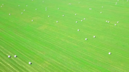 Heuballen in weißen Plastikverpackungen sind auf einem Feld gestapelt. Drohnenflug.