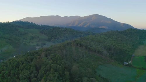 Aerial top view of forest trees and green mountain hill at sunset. Nature landscape background
