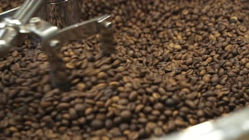 Close View of Mixing and Grinding Roasted Coffee Beans with Equipment