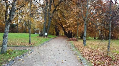 Goldener Herbst In Einem Landgut 34