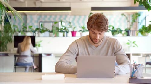 Young Casual Man Working on Laptop in Office Female Colleague Brings Him Drink in a Cup