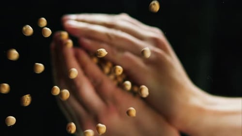 Closeup of Falling Down Chickpeas From Hands on Glass Table on Black Background