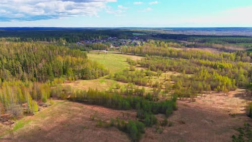 Aerial View of Fields with Forests on a Spring Sunny Day a Magical Landscape with Treetops Lakes in