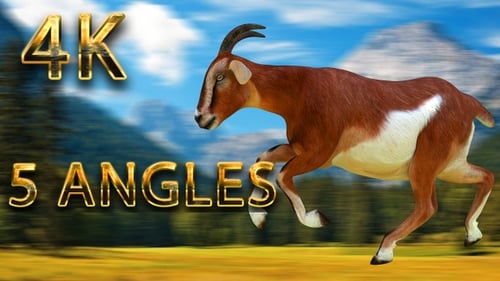 3D Animated Brown Goat Running and Standing Cycle