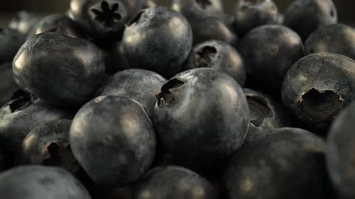 Blueberries 10