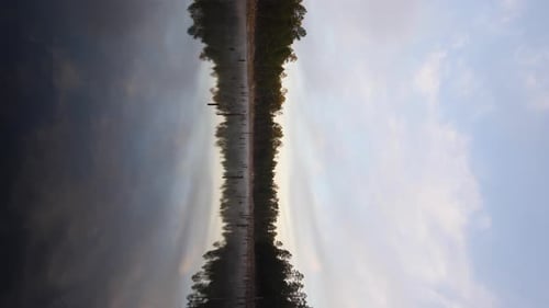 Foggy mist rolls over the calm waters in a woodland pond.