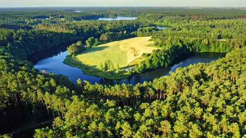 Blue winding river between green forests in Poland