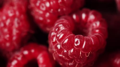 Close Up of Rotation Scarlet Raspberry