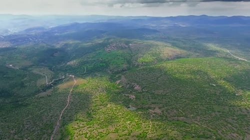 Cluster Villages in Sparse Woodland