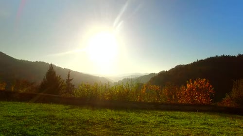 Angenehmer Sonnenuntergang im Herbstwald auf der Weide