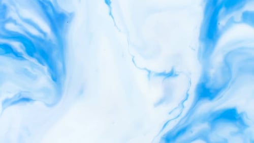 Paint