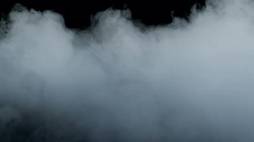 Steam