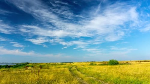Meadow on the banks of the Vistula river.