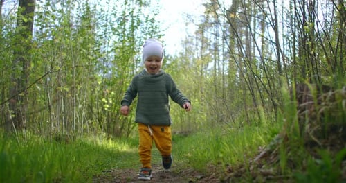 A 2-Year-old Caucasian Boy Walks in Slow Motion Along Forest Paths in a Pine Forest