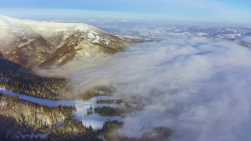 High Snowy Mountain Covered with Evergreen Fir Trees on a Sunny Cold Day
