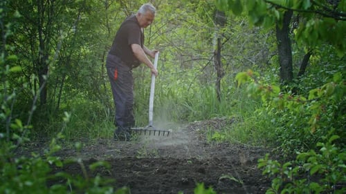 The Farmer Works with a Rake in the Garden