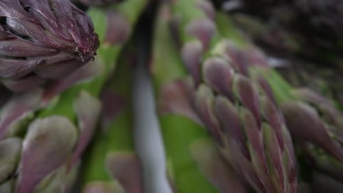 Spargel 19