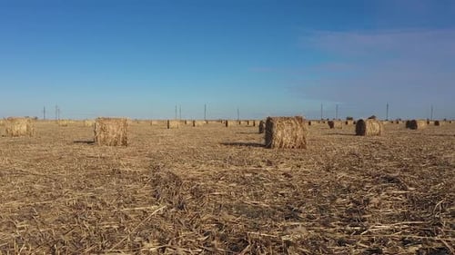 round bales of hay in the field