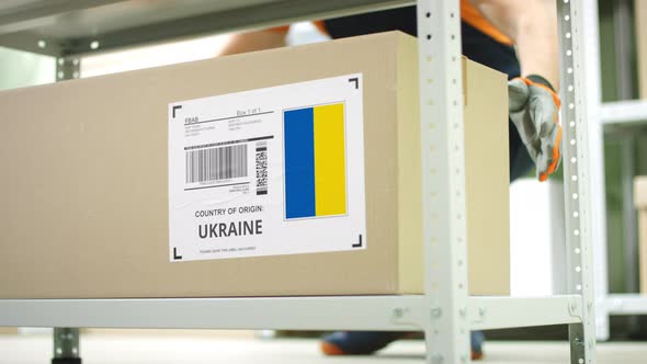 Box with Products From Ukraine and Storage Employee, Business ...
