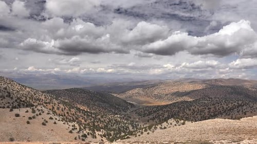 Sparse Trees and Barren Valley