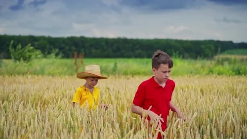 Children Exploring a Golden Wheat Field on Sunny Day