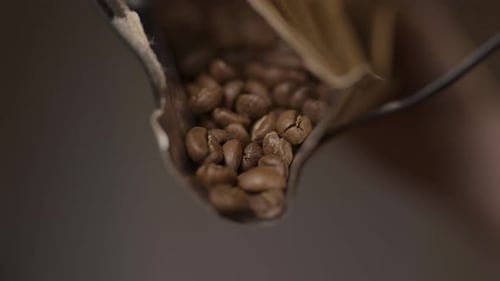 Roasted Coffee Beans Pouring from Paper Bag Close-up