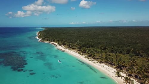 Little Boat in the Ocean