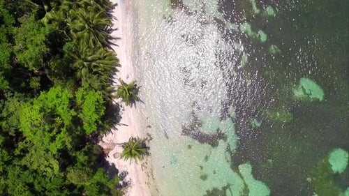 Caribbean White Unspoiled Beach