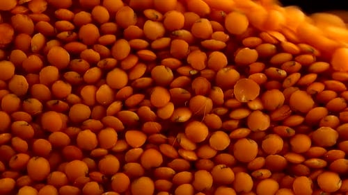 Bright Orange Lentils Pouring onto Black Surface