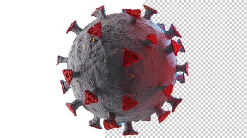 Corona Virus