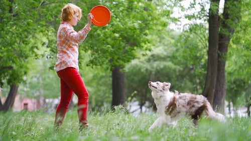 A Young Girl Is Playing with Her Dog in a Park