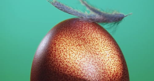 Farbkorrektur, ein schönes braunes Ei mit Sommersprossen dreht sich um eine Achse im Hintergrund