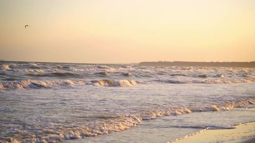 White sea foam covers the sandy coast at sunset. Foaming sea wave washes sandy shoreline