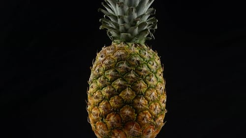 pineapple on black background