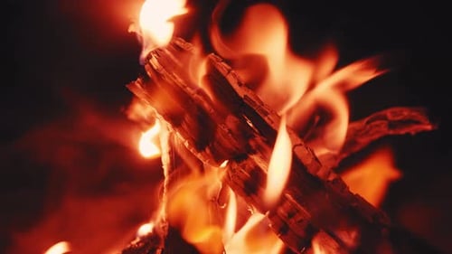Schwelender Baum im schönen Lagerfeuer