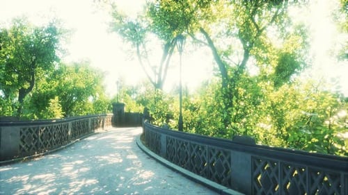 Friedlicher Park in der Stadt