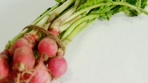Bunch of radish placed against white background