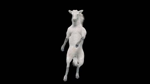 28 White Horse Dancing HD